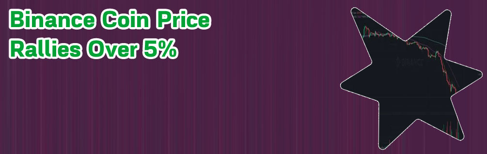Binance btc price