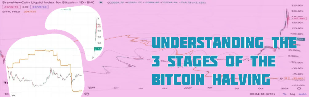 What was the lowest price of bitcoin